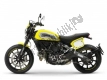 Todas las piezas originales y de repuesto para su Ducati Scrambler Flat Track Thailand USA 803 2016.